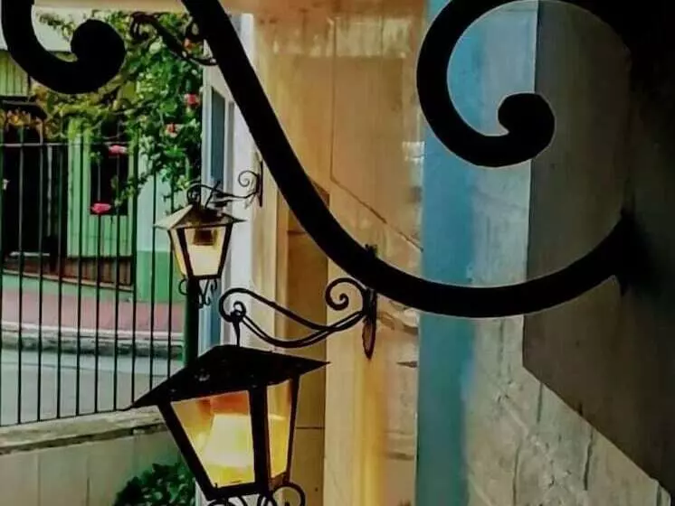 Casa Del Arbol Hostel