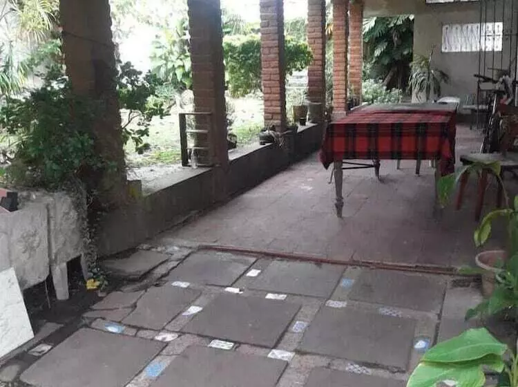 Casa Del Arbol Hostel