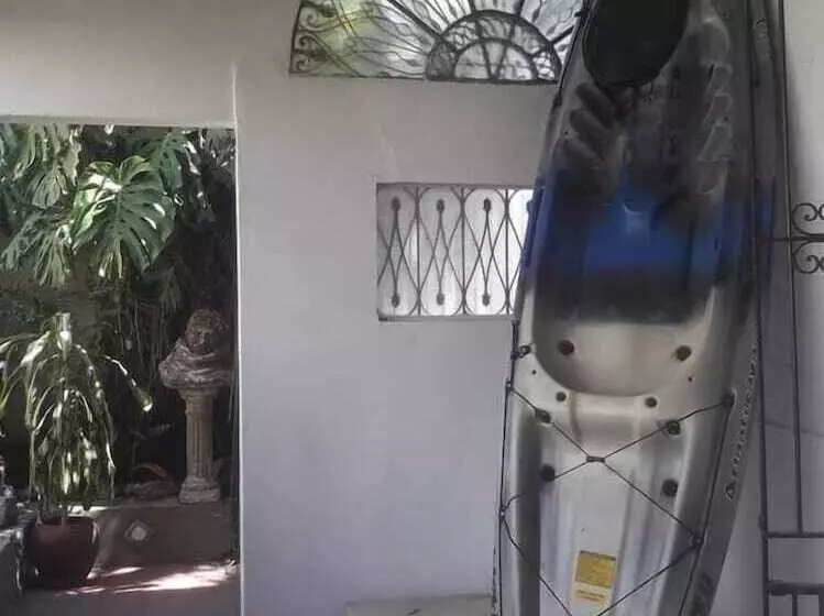 Casa Del Arbol Hostel