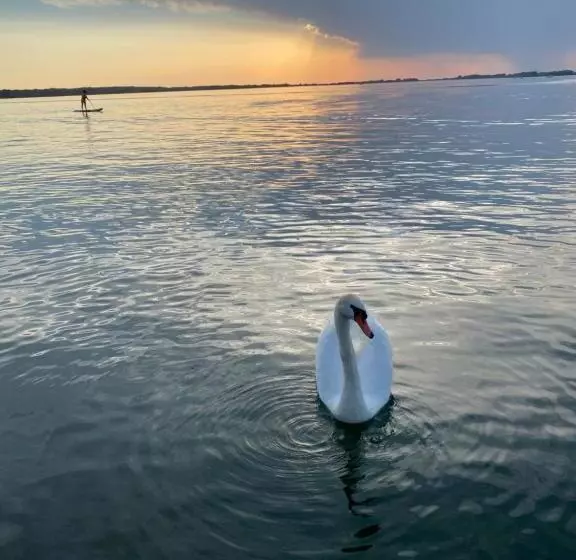 Hotelli Casablanca Vendégház