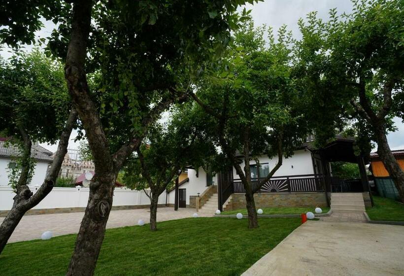 פנסיון Casa Pop Maramures