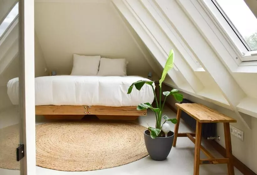 Van Heeckeren Apartments & Suites Nes