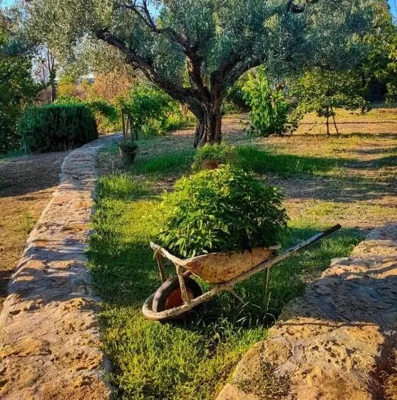 B&b Mare Calabria