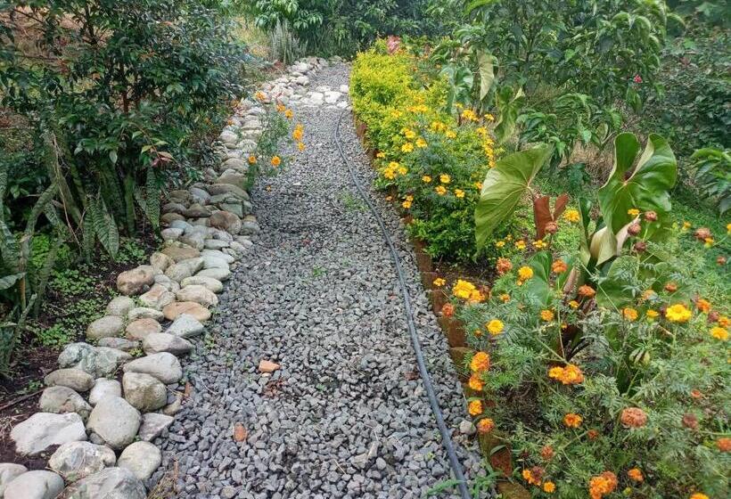 Bed & Breakfast Finca San Miguel Filandia