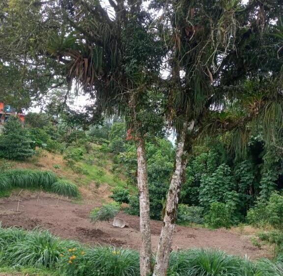 Bed & Breakfast Finca San Miguel Filandia