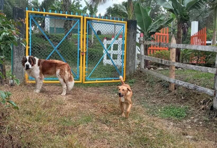 Bed & Breakfast Finca San Miguel Filandia