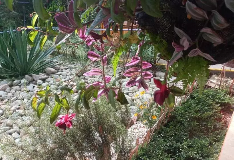 Aamiaismajoitus (B&B) Finca San Miguel Filandia