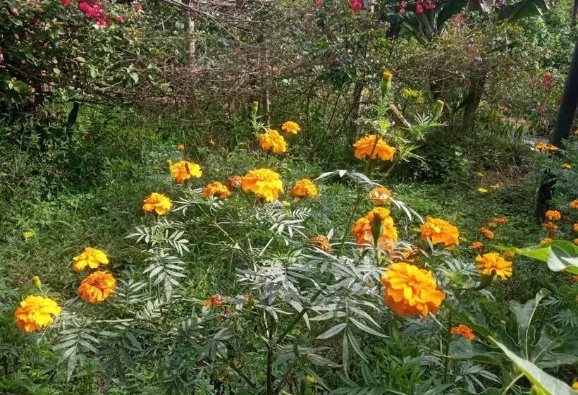 Aamiaismajoitus (B&B) Finca San Miguel Filandia