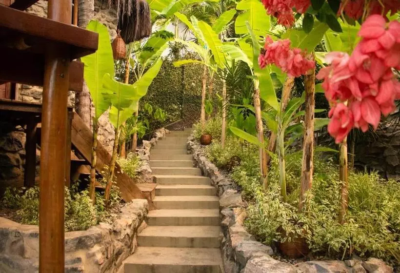 ユースホステル La Isla Suítes Privativas