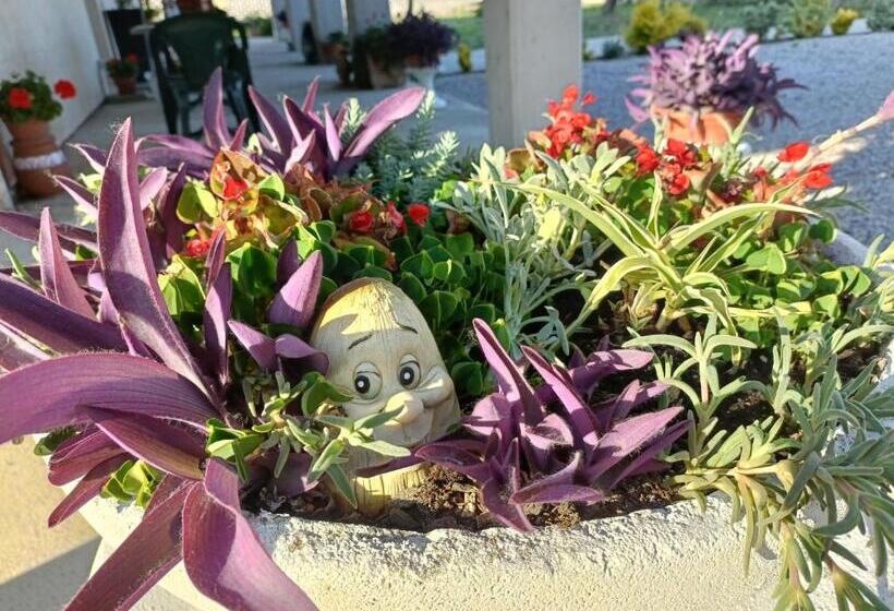 ペンション Alloggio Corte Pradon