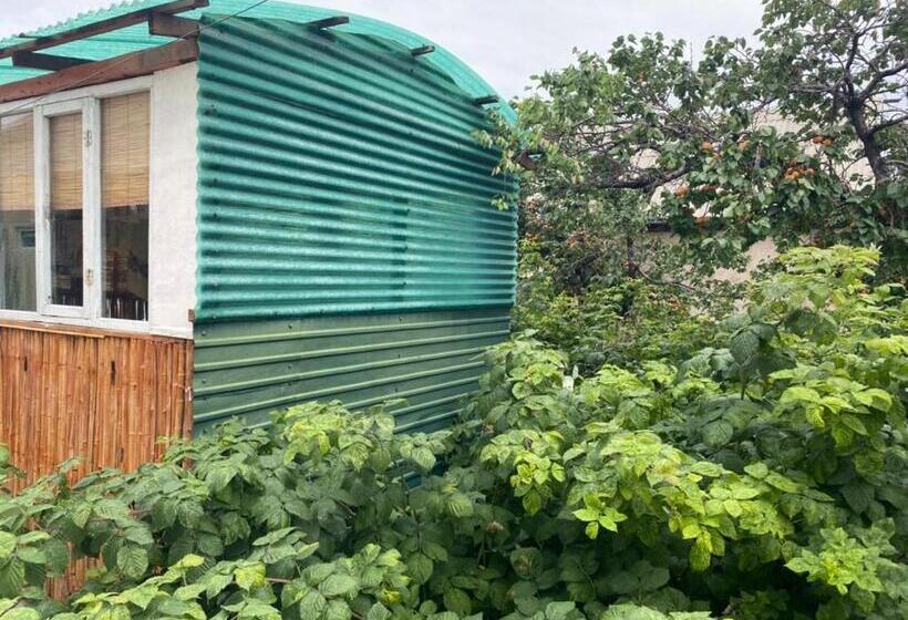 پانسیون Nurgul