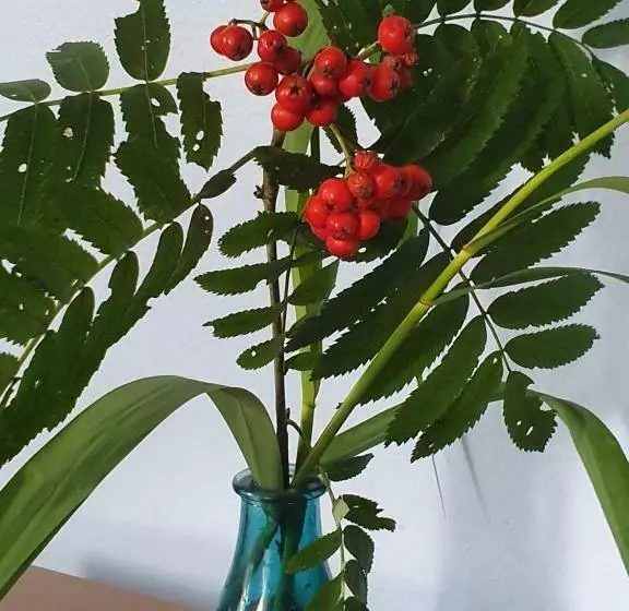 ベッドアンドブレックファースト Klåveröd Logi & Café