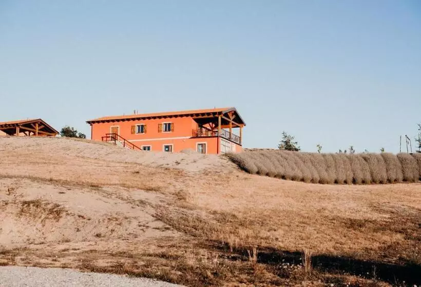 Hotelli Azienda Agricola Saint Hubert