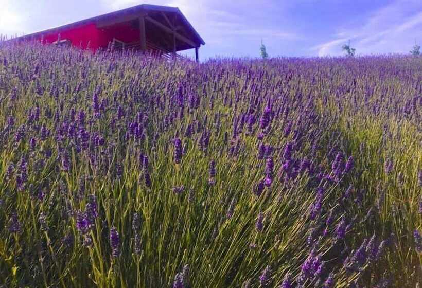 호텔 Azienda Agricola Saint Hubert