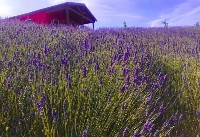 Hotelli Azienda Agricola Saint Hubert