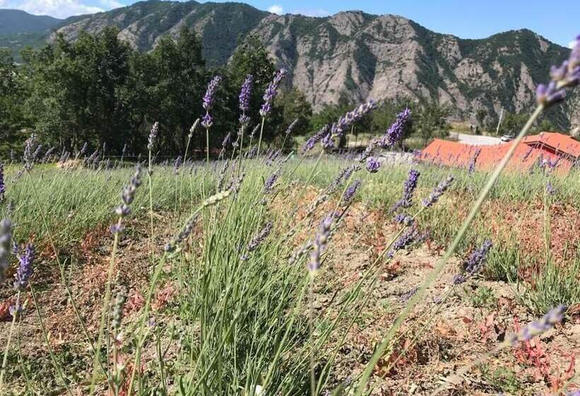 호텔 Azienda Agricola Saint Hubert