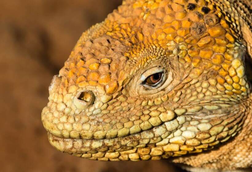 ペンション Casa Fragata