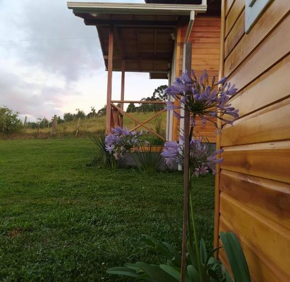 پانسیون Pousada Flor Do Campestre