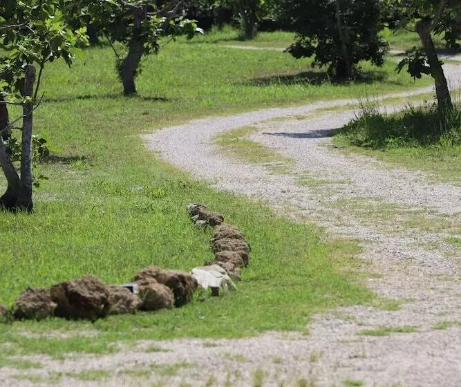 Hotelli Tenuta Bellelli