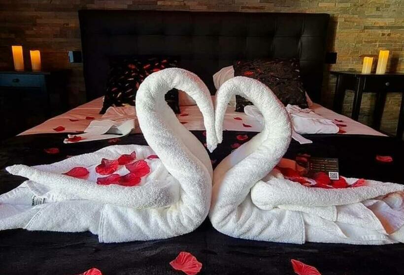 Le Grand Moulin Des Tanneurs B&b Et Love Room