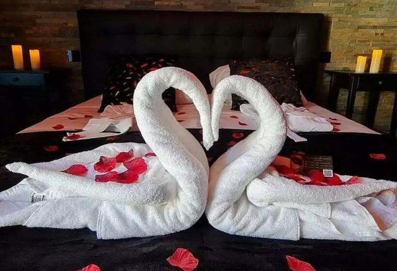 Le Grand Moulin Des Tanneurs B&b Et Love Room