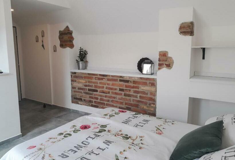 פנסיון Statek U Kapličky