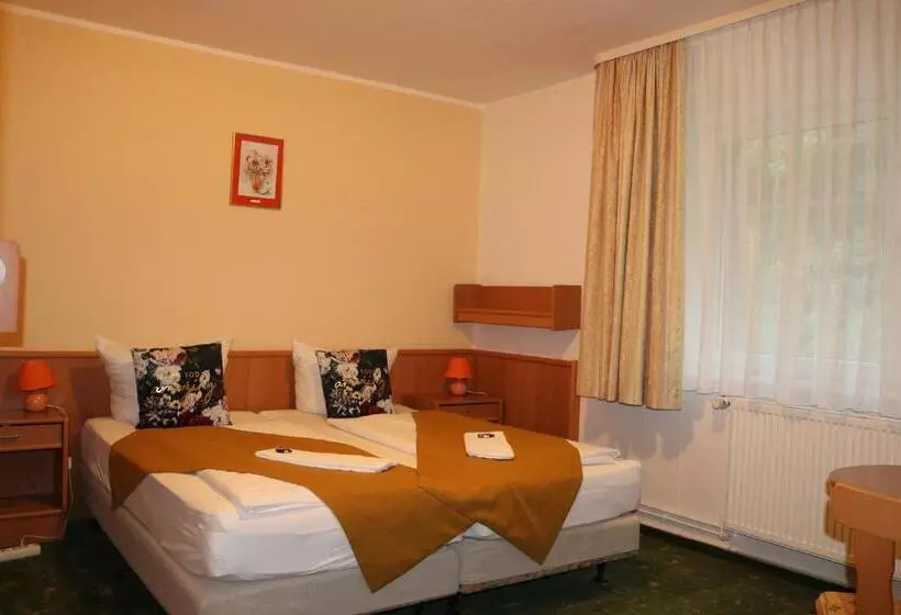 Waldhotel Harz Ilsenburg