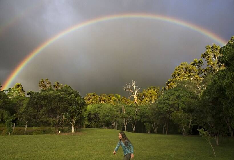 Отель Cedar Park Rainforest Resort