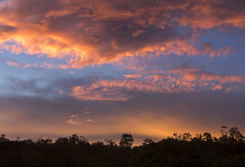 Отель Cedar Park Rainforest Resort