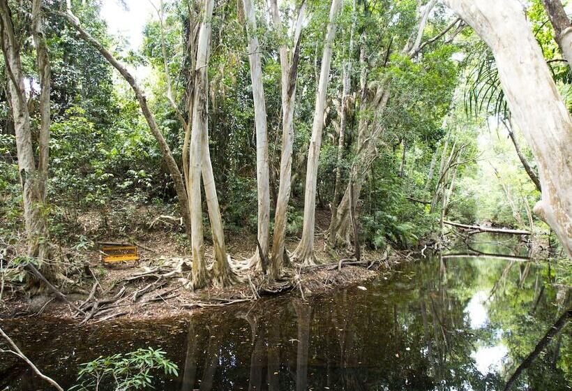 Отель Cedar Park Rainforest Resort