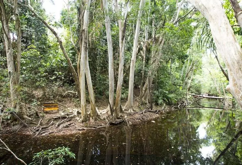 Отель Cedar Park Rainforest Resort