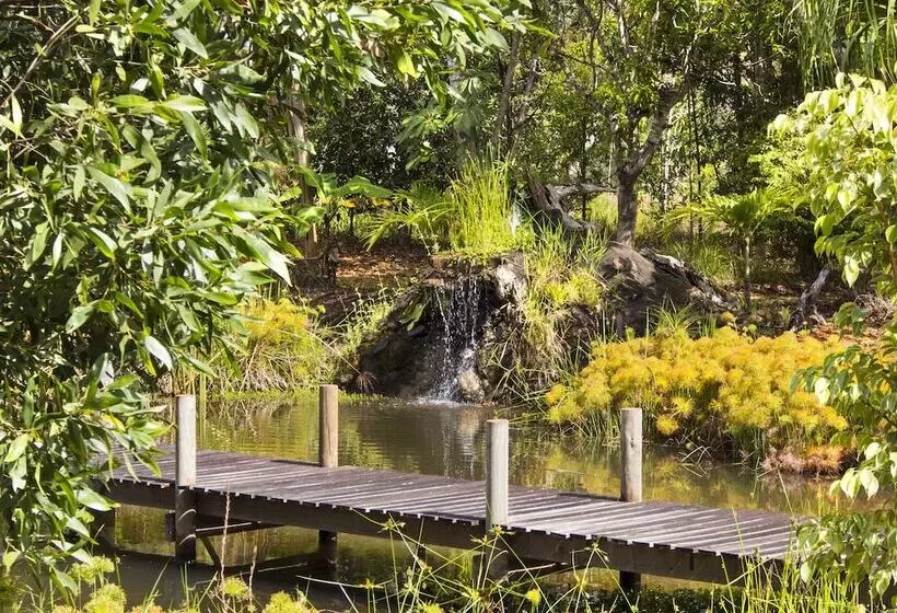 Отель Cedar Park Rainforest Resort