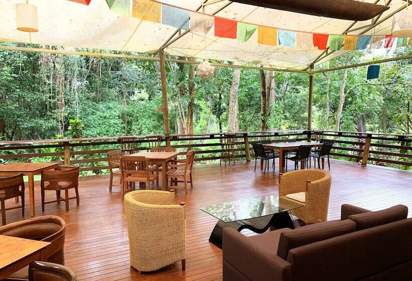 Отель Cedar Park Rainforest Resort