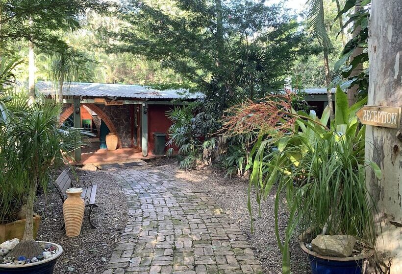 Отель Cedar Park Rainforest Resort