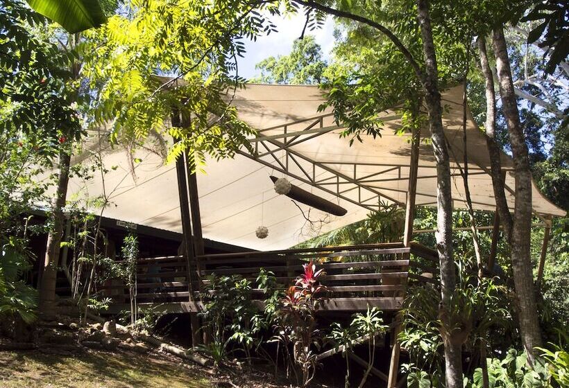 Отель Cedar Park Rainforest Resort