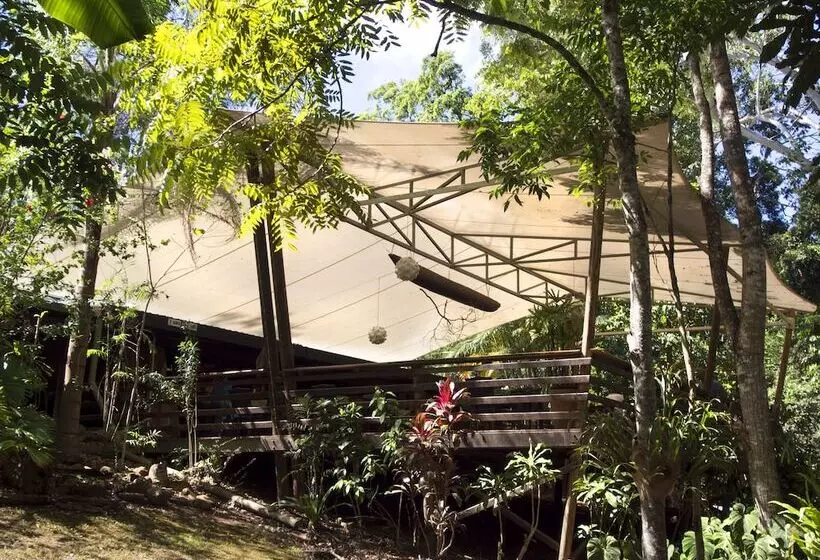 Отель Cedar Park Rainforest Resort