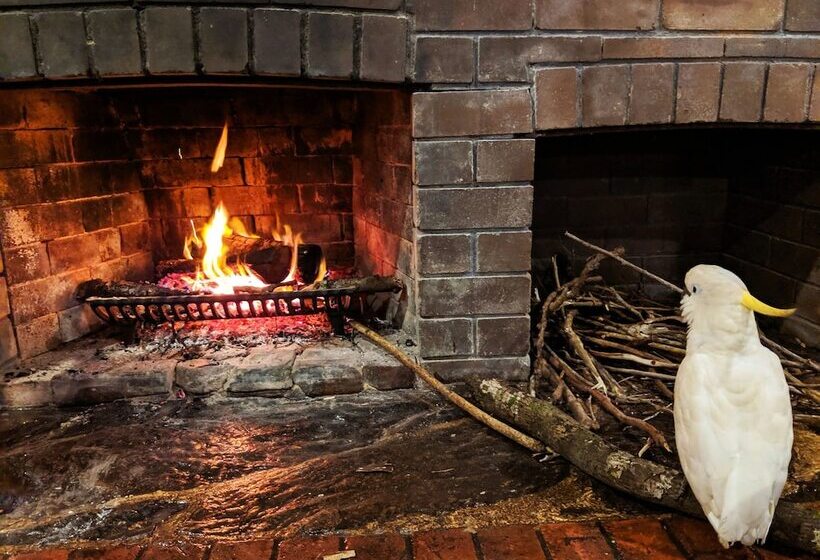 Отель Cedar Park Rainforest Resort