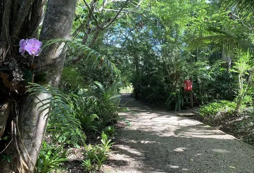 Отель Cedar Park Rainforest Resort