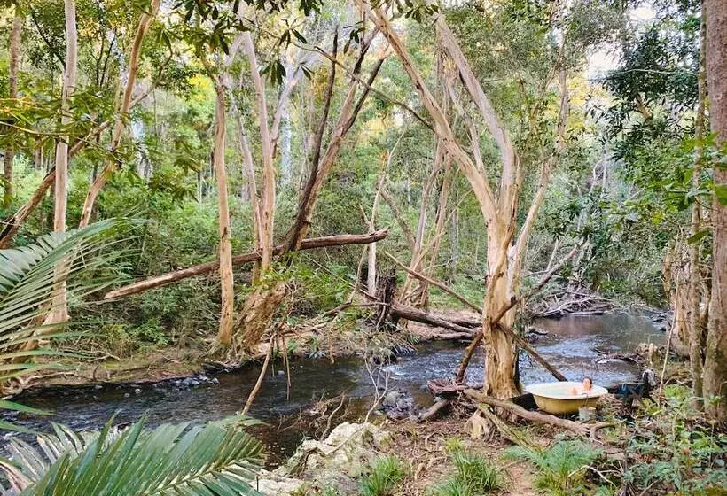 Отель Cedar Park Rainforest Resort