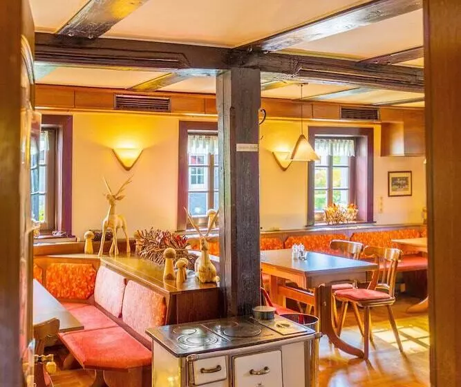 酒店 Goldener Hirsch