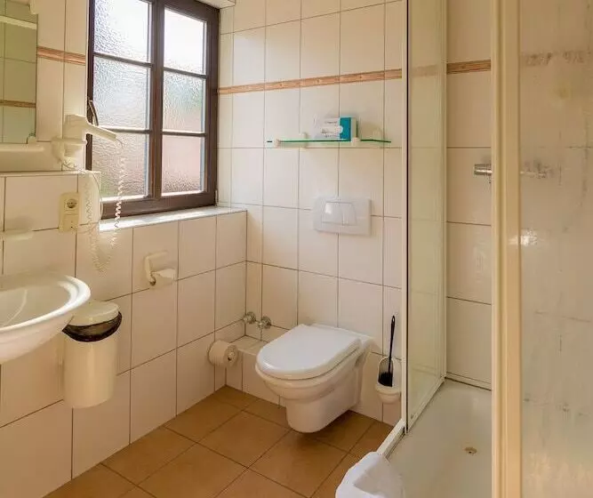 酒店 Goldener Hirsch