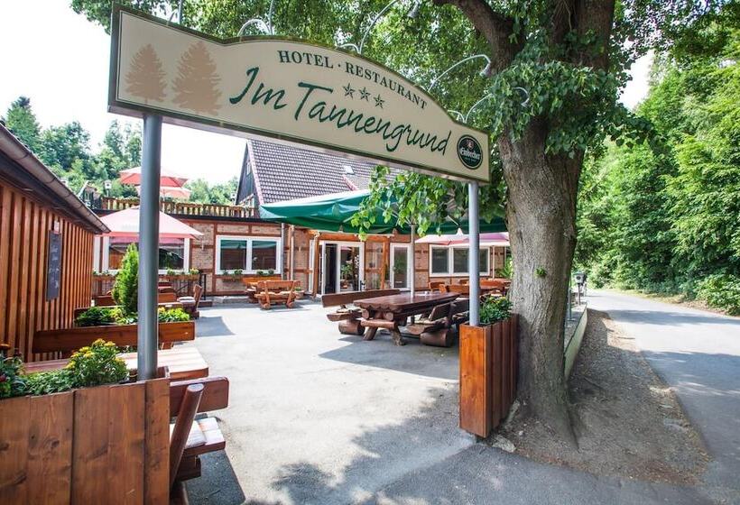 酒店 Im Tannengrund
