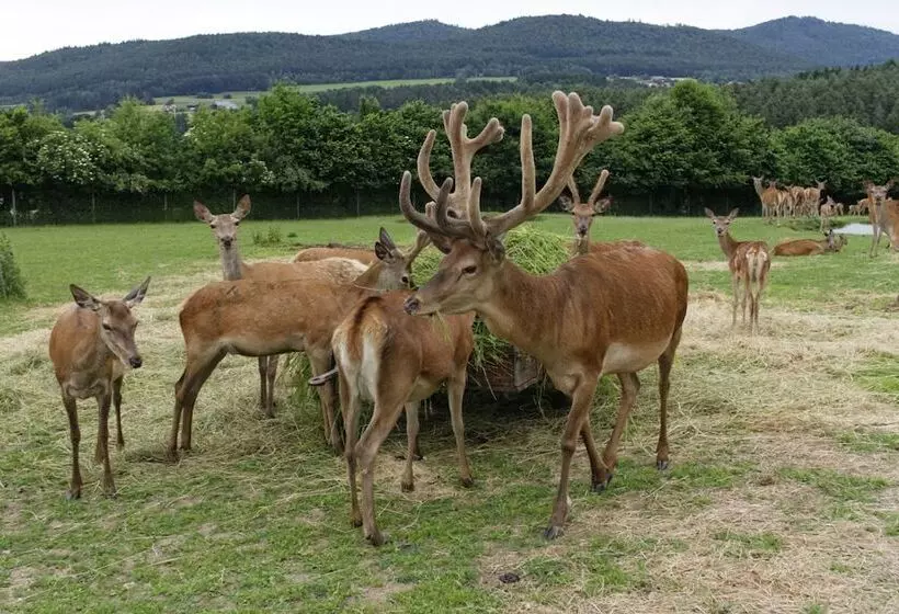 Panorama Hotel Am See