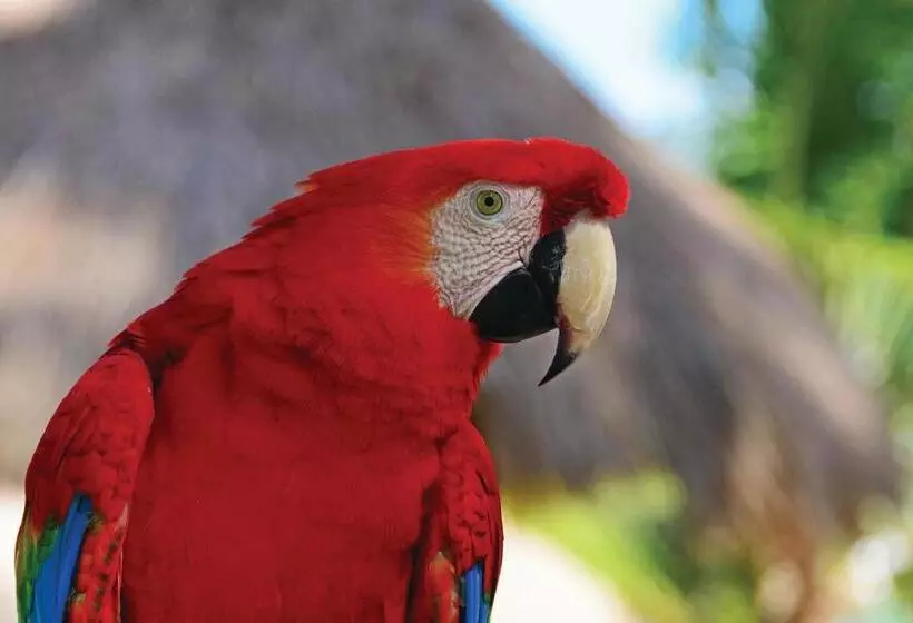 فندق Serrambi Resort