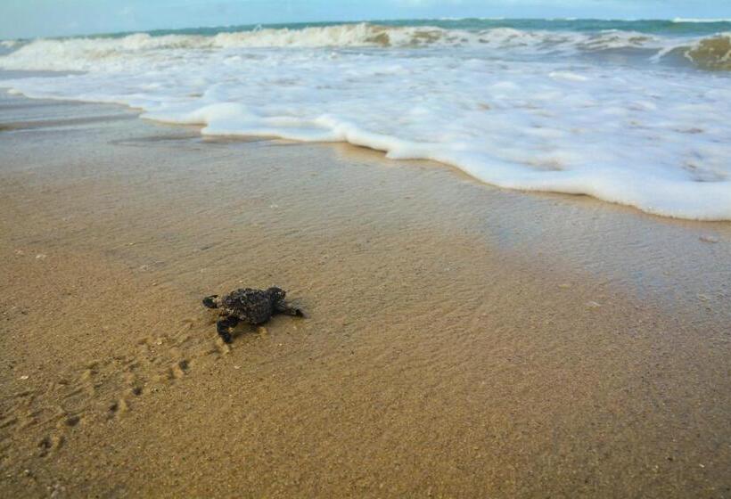 ホテル Serrambi Resort