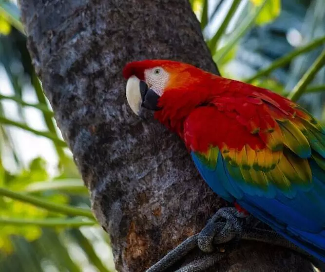 فندق Serrambi Resort