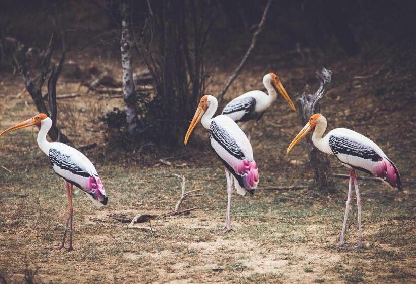 בית מלון כפרי The Spice Trail