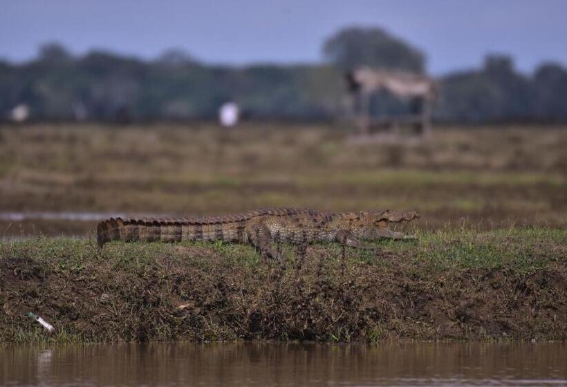 בית מלון כפרי The Spice Trail