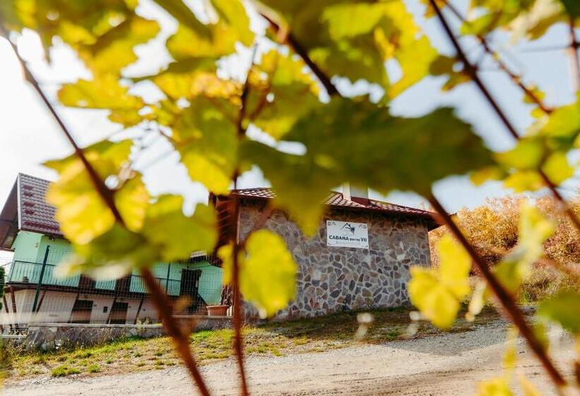 펜션 Cabana Dintre Vii
