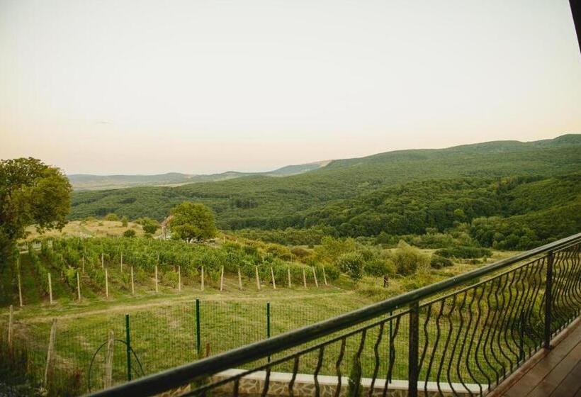 펜션 Cabana Dintre Vii